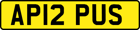 AP12PUS