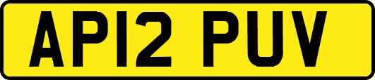 AP12PUV