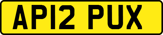 AP12PUX