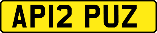 AP12PUZ