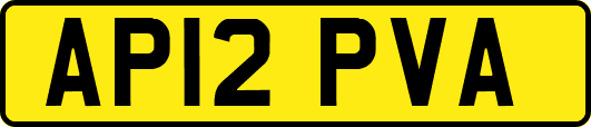 AP12PVA