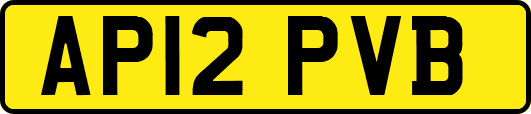 AP12PVB