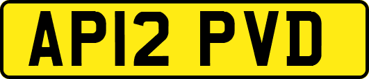 AP12PVD