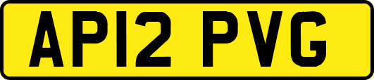 AP12PVG