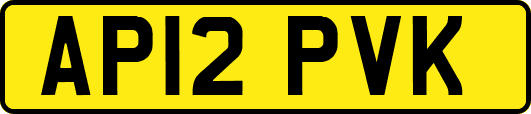 AP12PVK