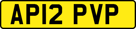 AP12PVP