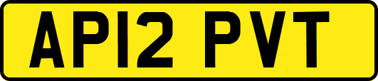 AP12PVT