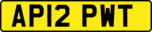 AP12PWT