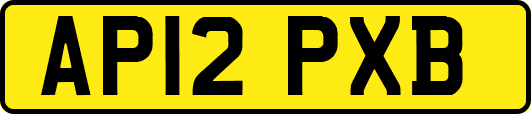 AP12PXB