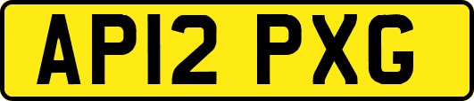 AP12PXG