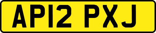 AP12PXJ