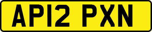 AP12PXN