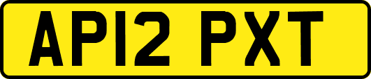 AP12PXT