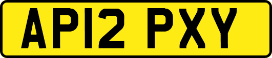 AP12PXY