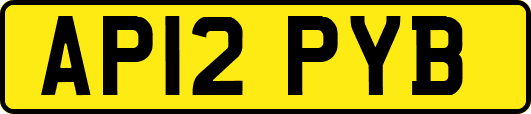 AP12PYB