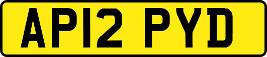 AP12PYD