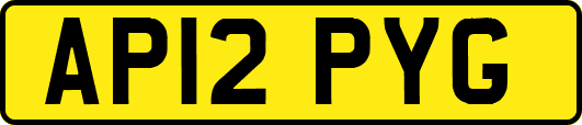 AP12PYG