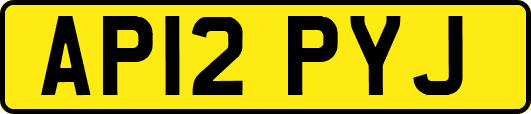 AP12PYJ