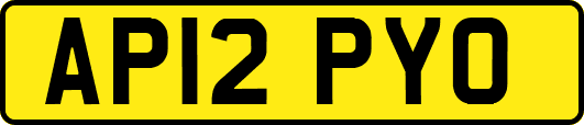 AP12PYO