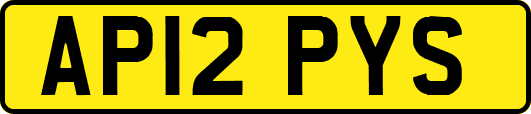 AP12PYS