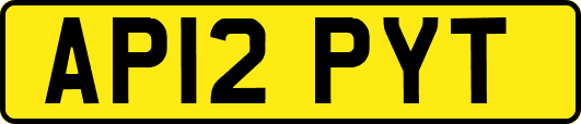 AP12PYT