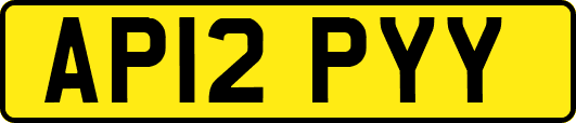 AP12PYY