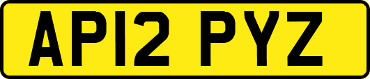 AP12PYZ