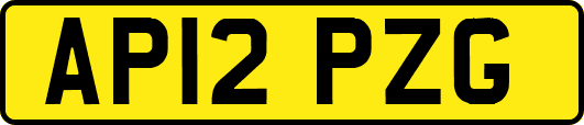AP12PZG