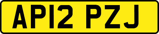 AP12PZJ