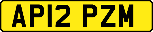 AP12PZM