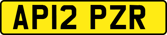 AP12PZR
