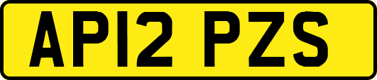 AP12PZS