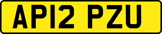 AP12PZU