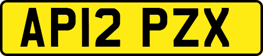 AP12PZX