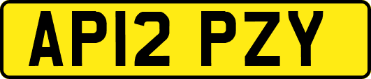 AP12PZY