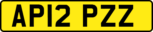 AP12PZZ