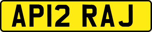 AP12RAJ
