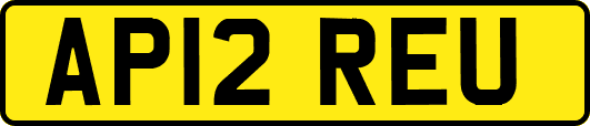 AP12REU