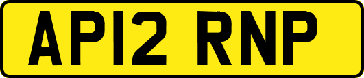 AP12RNP