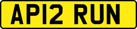 AP12RUN