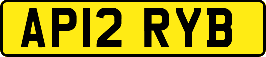 AP12RYB
