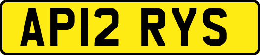AP12RYS