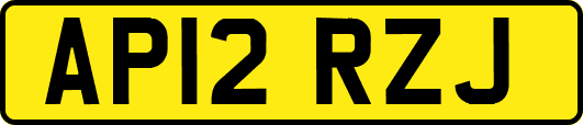 AP12RZJ