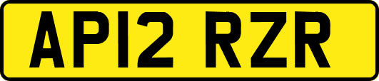 AP12RZR