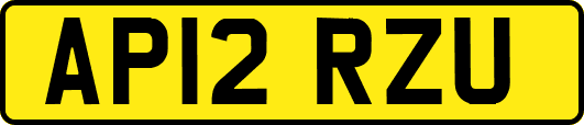 AP12RZU