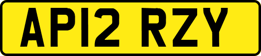 AP12RZY