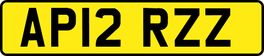 AP12RZZ