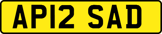 AP12SAD