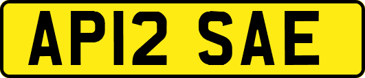 AP12SAE