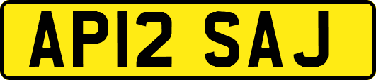 AP12SAJ